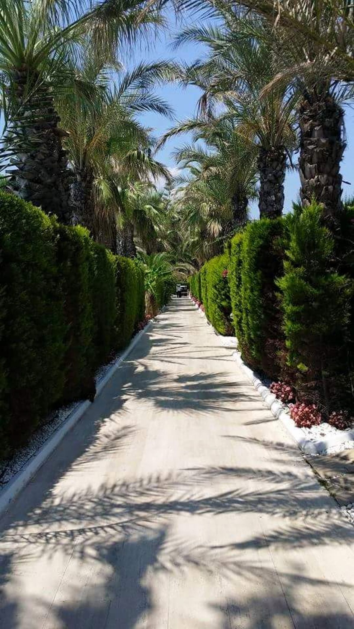 imagini hotel SIMENA SUN CLUB KEMER